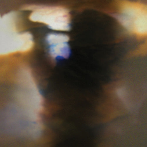 Animal Collective: Fall Be Kind {Vinyl LP}