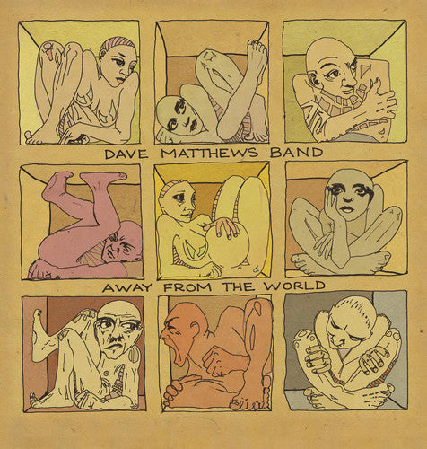 Dave Matthews: Away from the World {Vinyl LP}