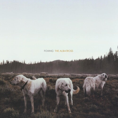 Foxing: Albatross {Vinyl LP}