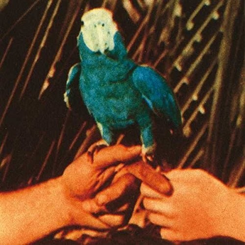 Andrew Bird: Are You Serious {Vinyl LP}