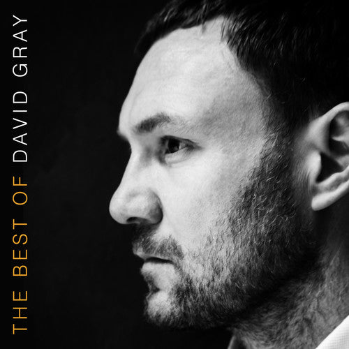 David Gray: The Best Of David Gray {Vinyl LP}
