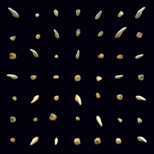 Clipping: Visions Of Bodies Being Burned {Vinyl LP}