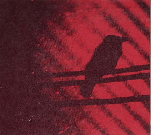 A Silver Mt. Zion: Born Into Trouble As the Sparks Fly Upward {Vinyl LP}