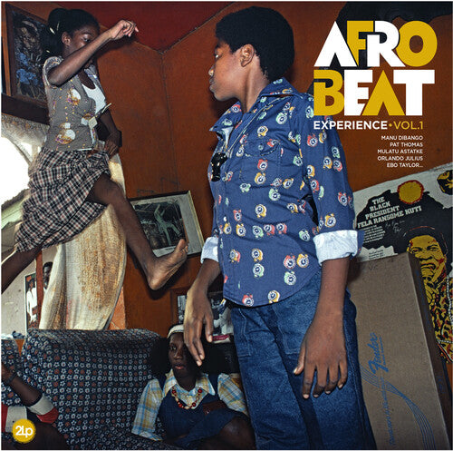Afrobeat Experience: Vol 1 {Vinyl LP}