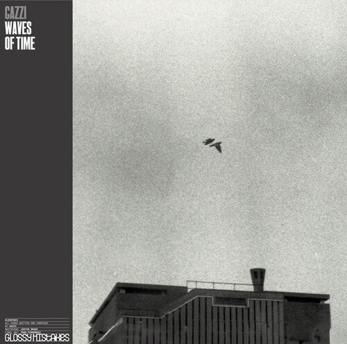 Gazzi: Waves Of Time {Vinyl LP}