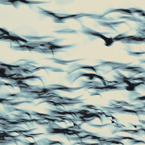 Bellbird: The Call (VINYL LP)