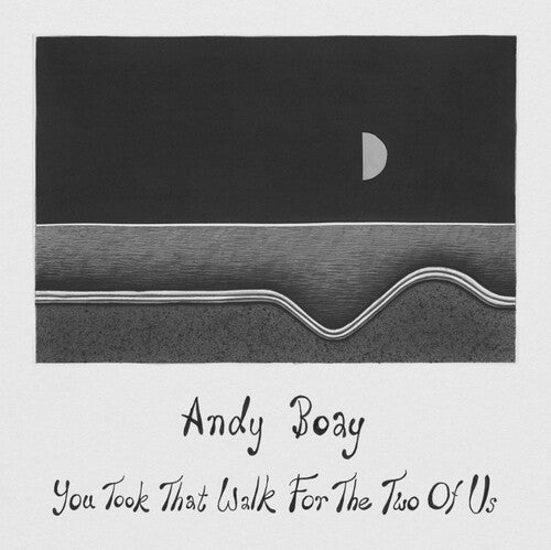 Andy Boay: You Took That Walk For The Two Of Us (VINYL LP)