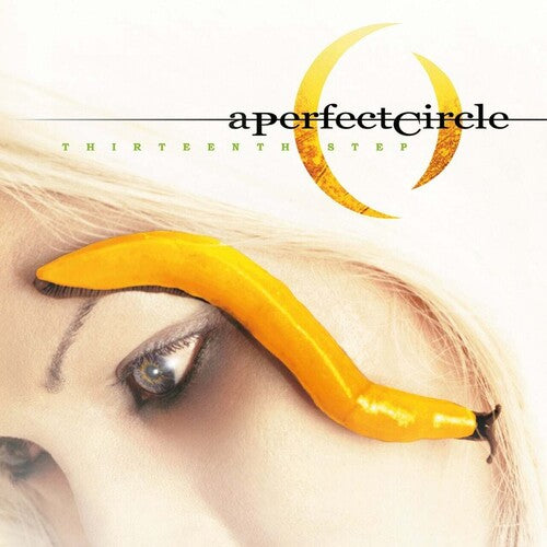 A Perfect Circle: Thirteenth Step {Vinyl LP}